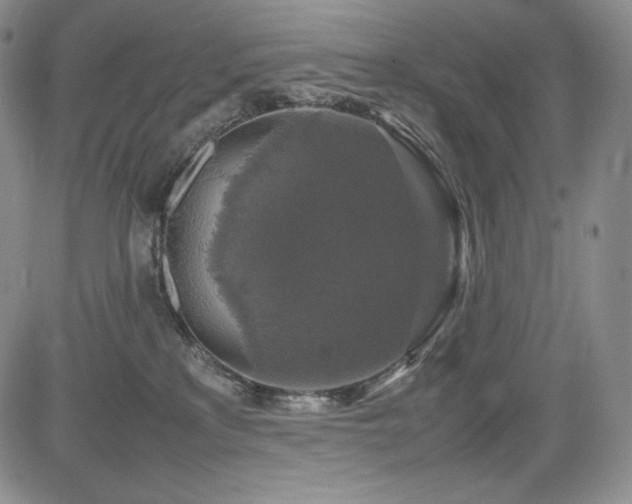 X0000085070233200703051415