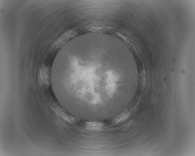 X0000085070234200703051415