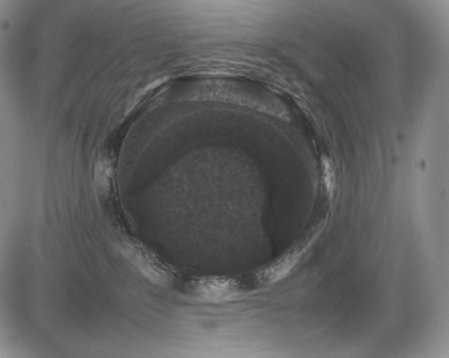 X0000085070235200703051415