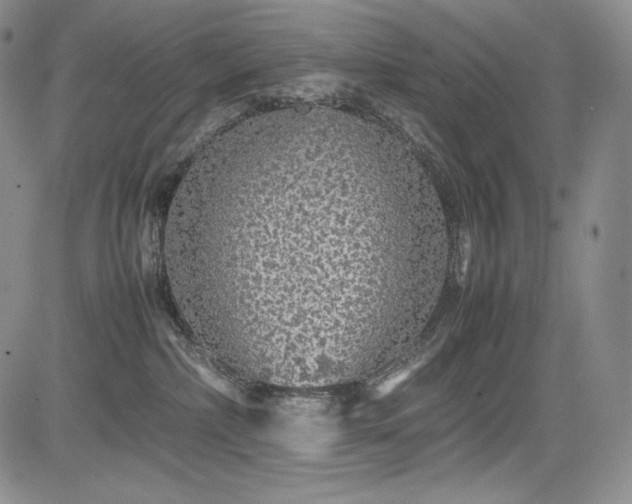 X0000085070236200703051415