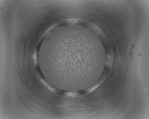 X0000085070238200703051415