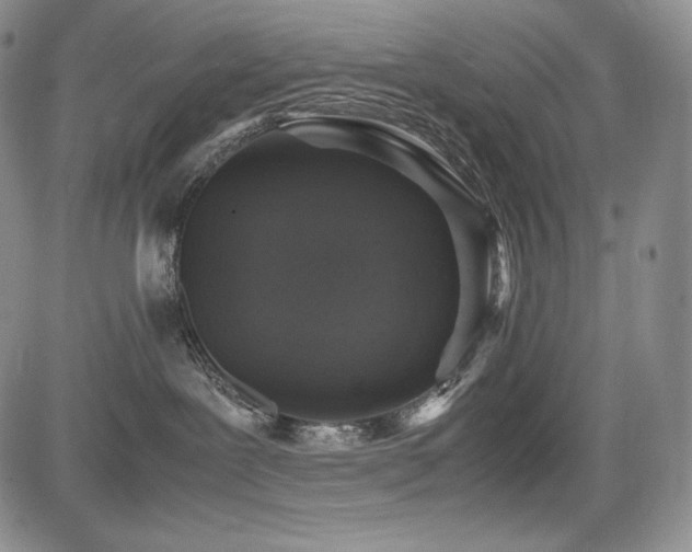 X0000085070239200703051415