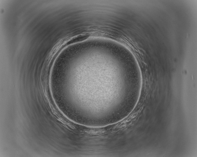 X0000085070241200703051415