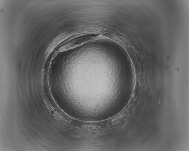 X0000085070242200703051415