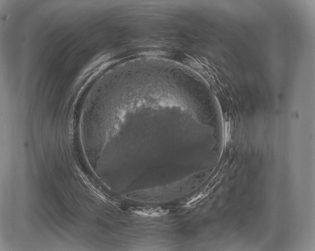 X0000085070243200703051415