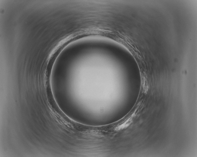 X0000085070244200703051415