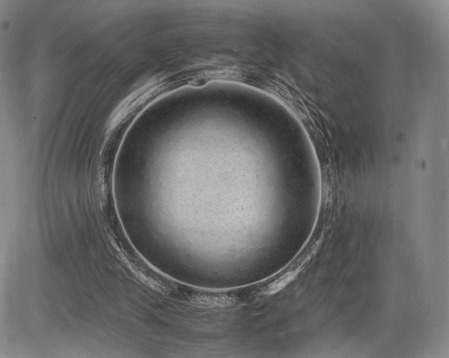 X0000085070245200703051415