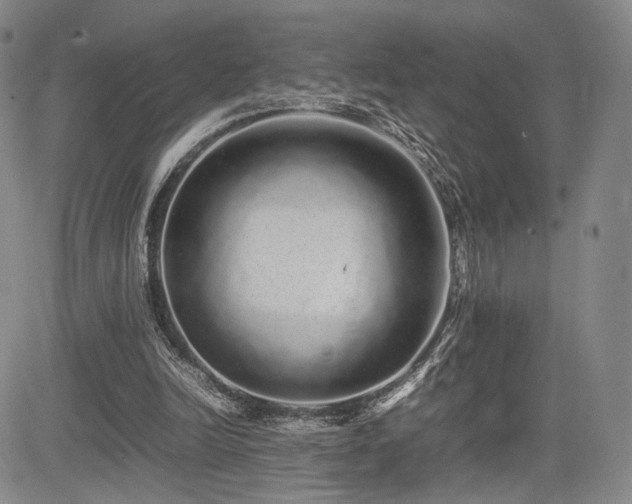 X0000085070246200703051415