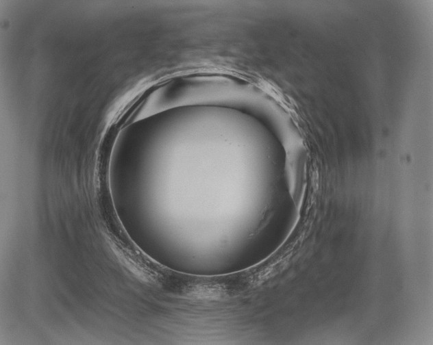 X0000085070248200703051415