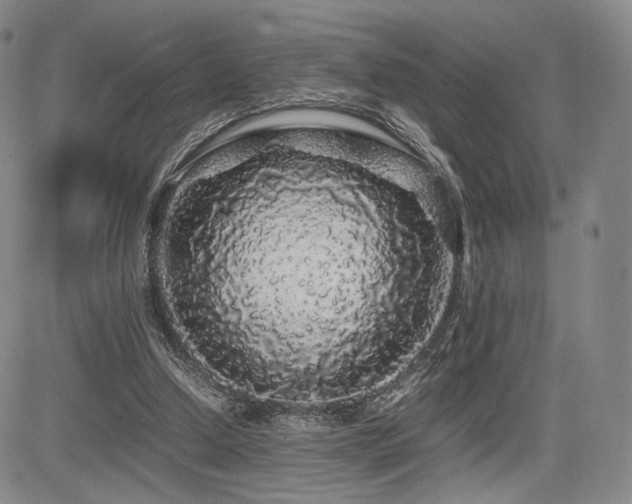 X0000085070250200703051415