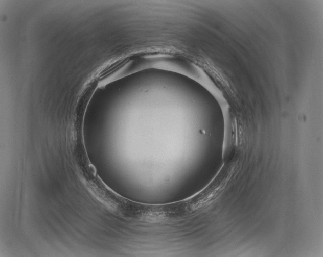 X0000085070252200703051415