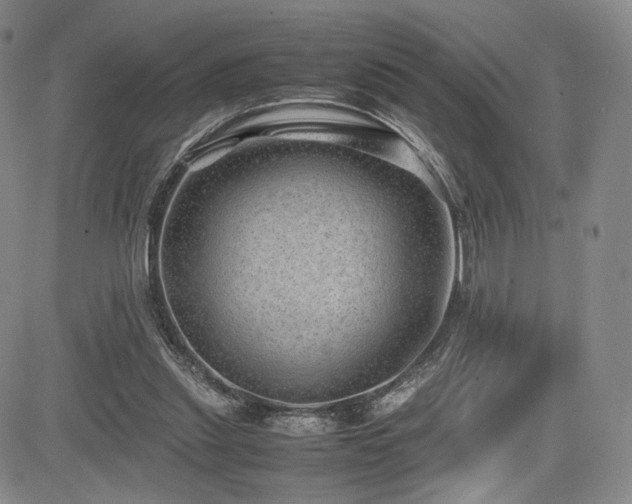 X0000085070253200703051415