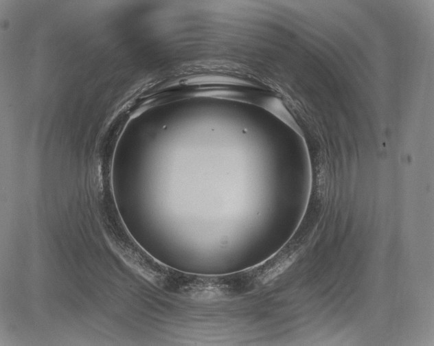 X0000085070254200703051415