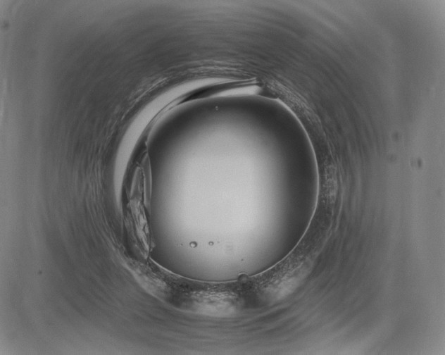 X0000085070255200703051415