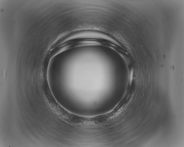 X0000085070256200703051415