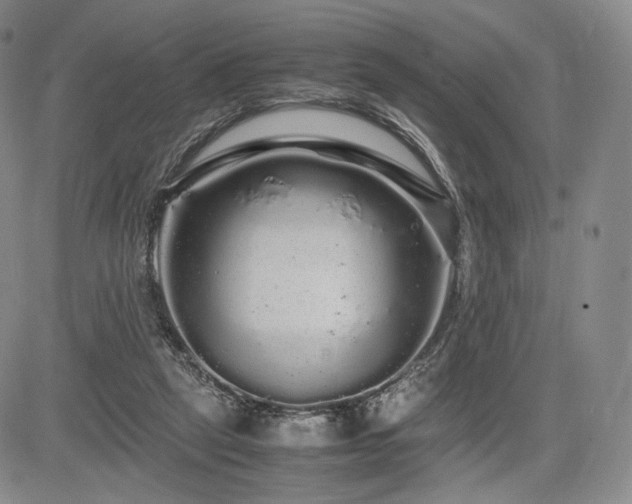 X0000085070257200703051415