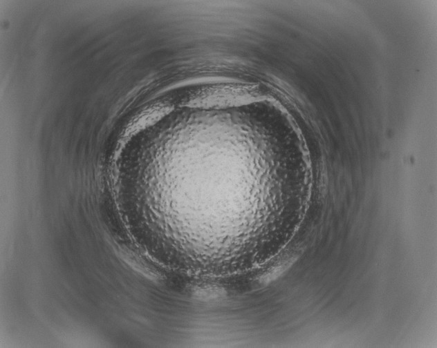 X0000085070258200703051415