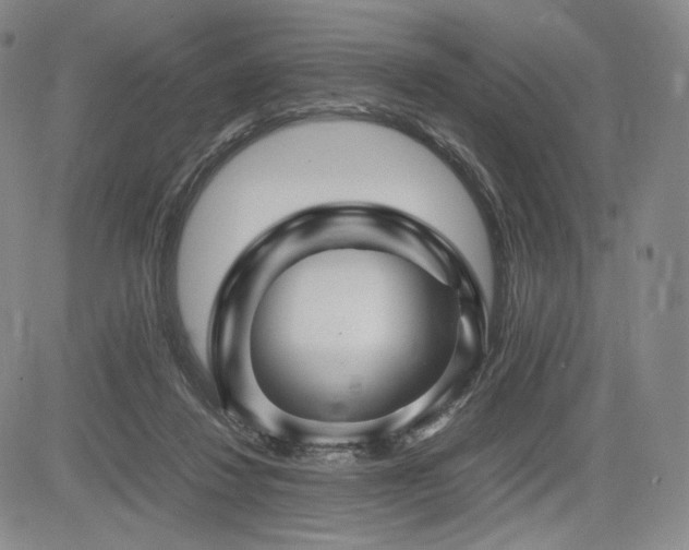 X0000085070260200703051415