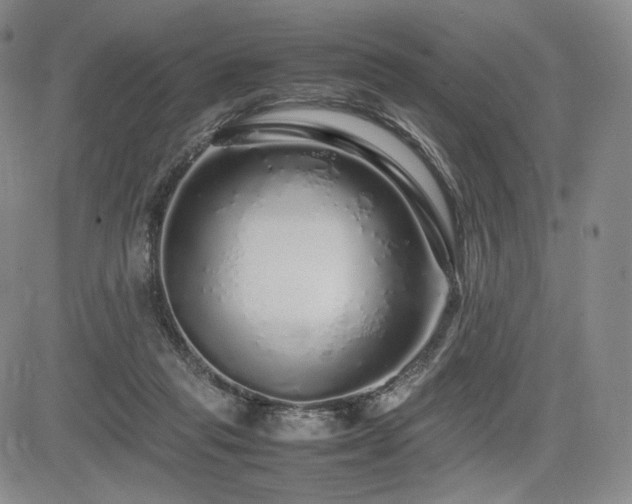 X0000085070261200703051415