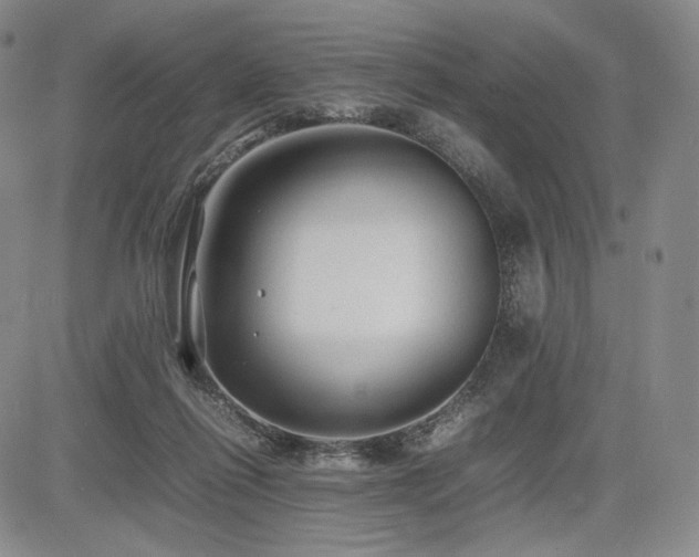 X0000085070262200703051415