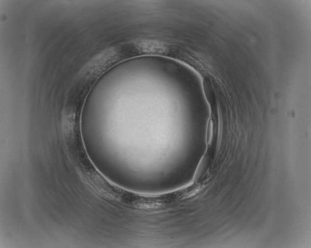 X0000085070263200703051415