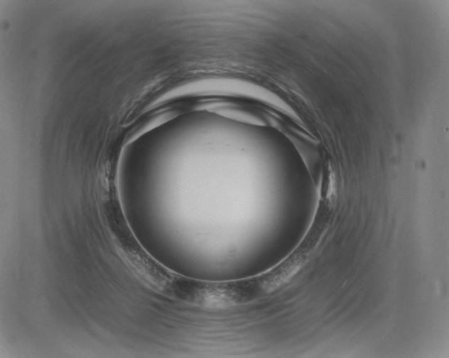 X0000085070264200703051415