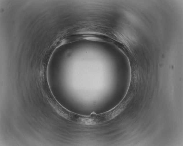 X0000085070265200703051415