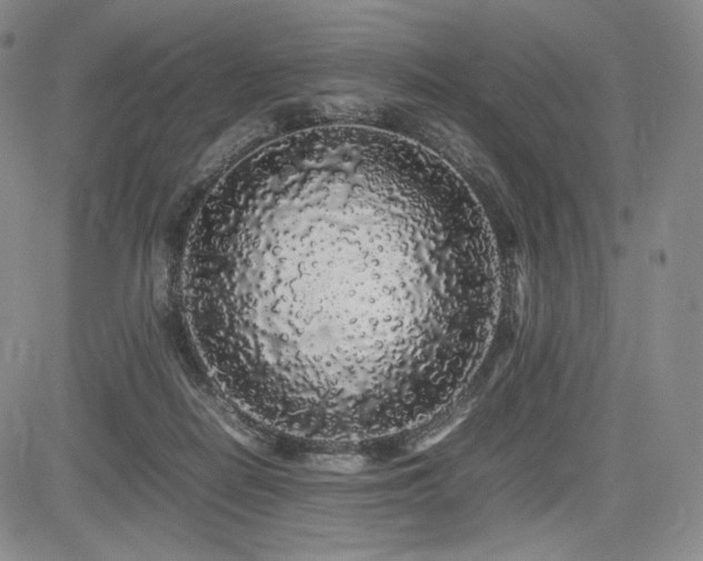 X0000085070266200703051415