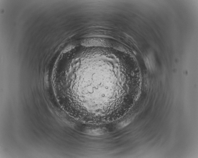 X0000085070267200703051415