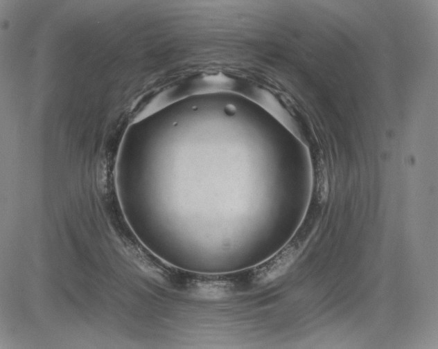 X0000085070268200703051415