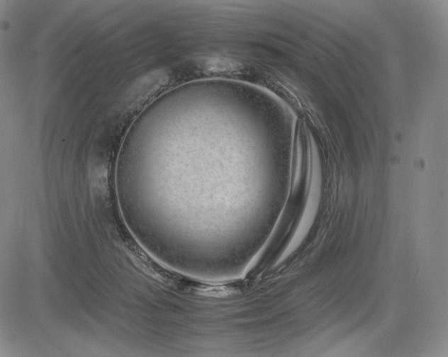 X0000085070269200703051415