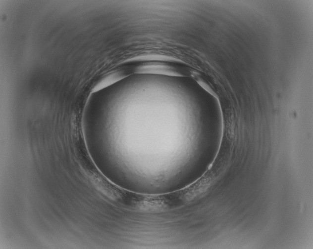 X0000085070270200703051415