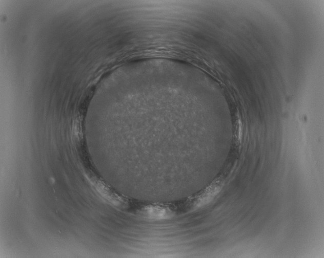 X0000085070272200703051415