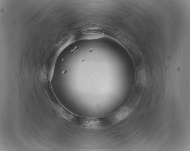 X0000085070274200703051415