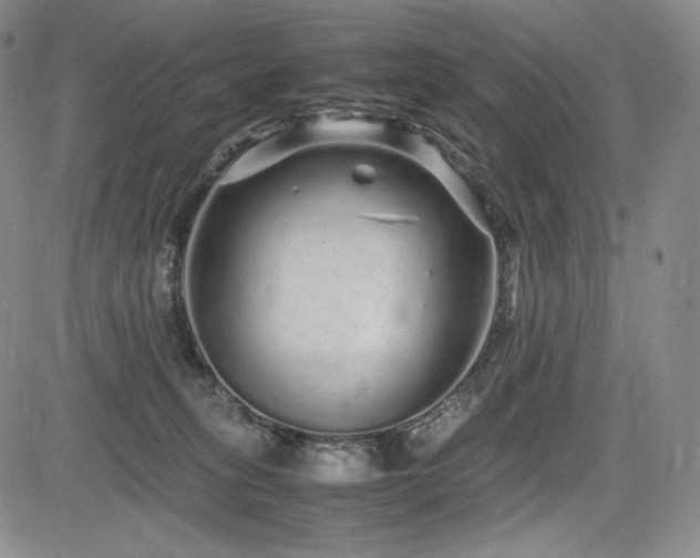 X0000085070275200703051415