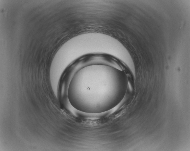 X0000085070276200703051415