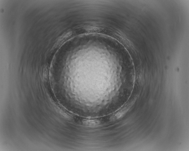 X0000085070277200703051415