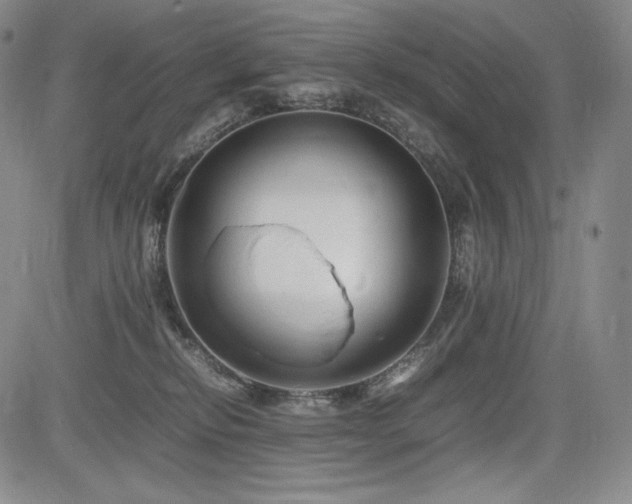 X0000085070278200703051415