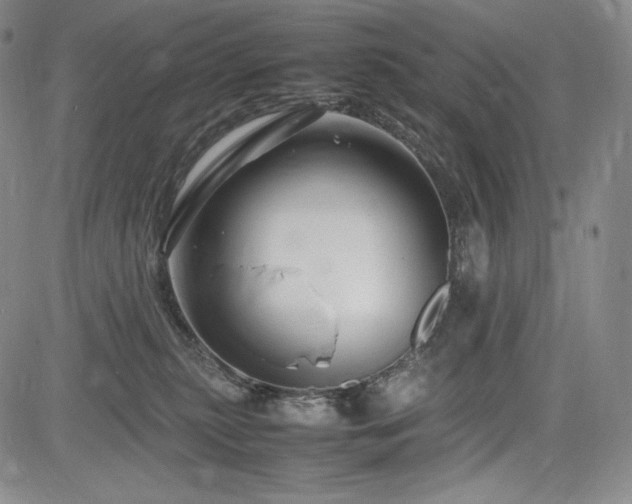 X0000085070279200703051415