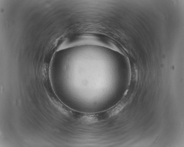 X0000085070280200703051415