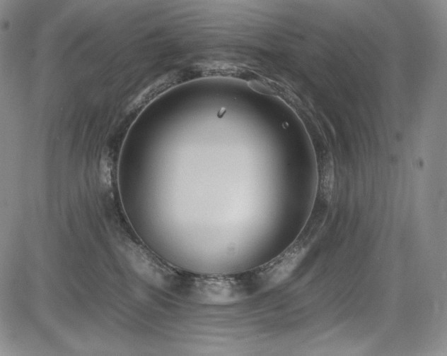 X0000085070282200703051415