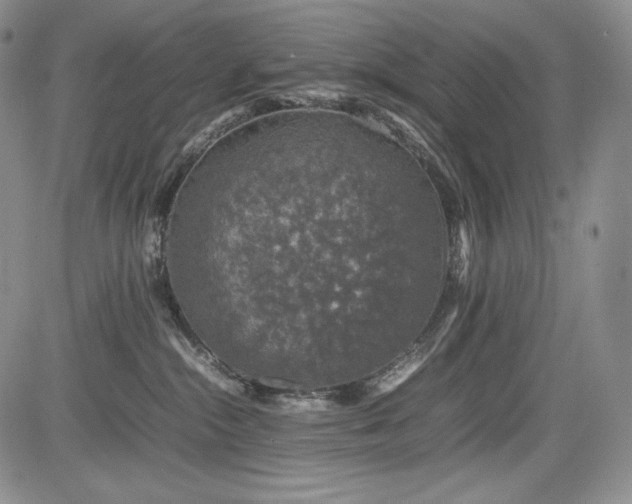 X0000085070284200703051415