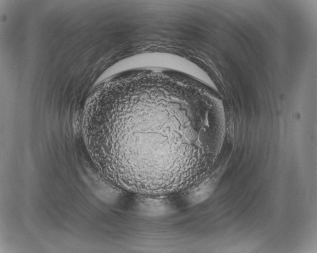 X0000085070285200703051415