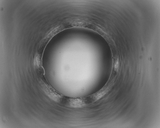 X0000085070287200703051415