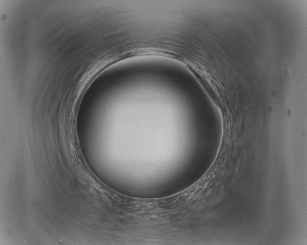 X0000085070289200703051415