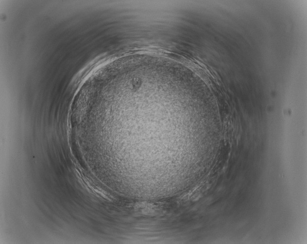 X0000085070290200703051415