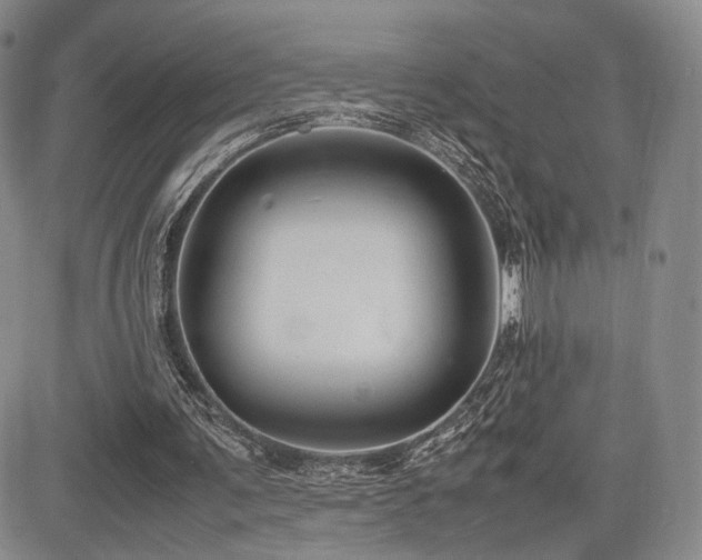 X0000085070291200703051415