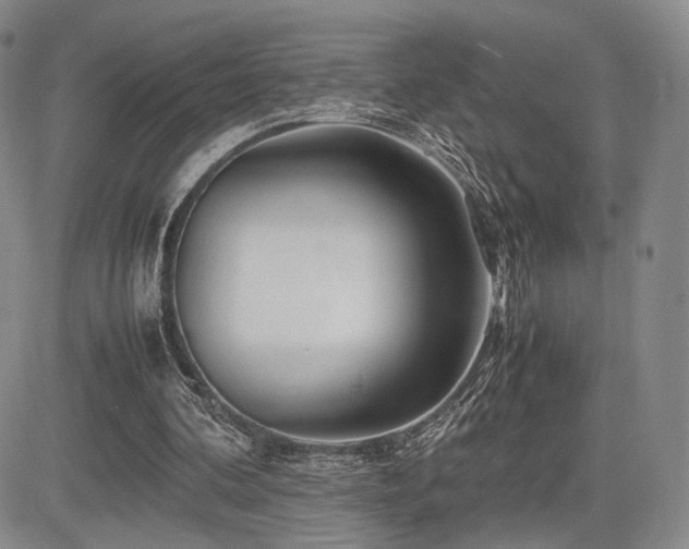 X0000085070292200703051414