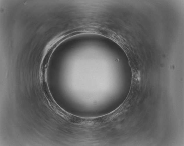 X0000085070294200703051414