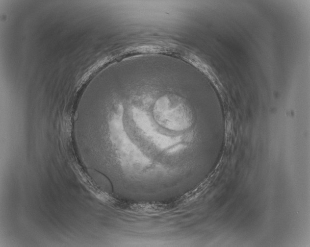 X0000085070297200703051414